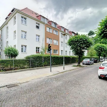 Prime - Forest Dream * Sopot