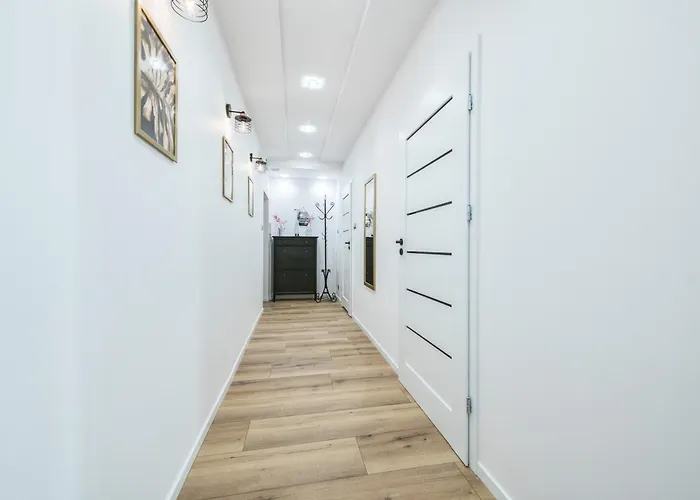 Prime - Forest Dream Apartment