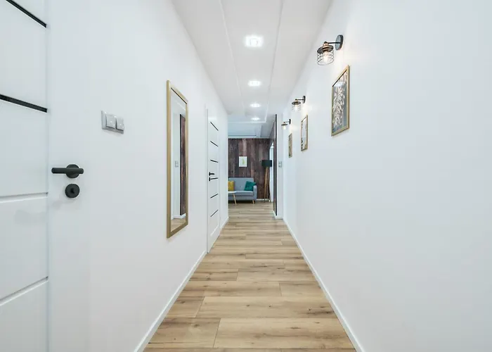 Prime - Forest Dream *