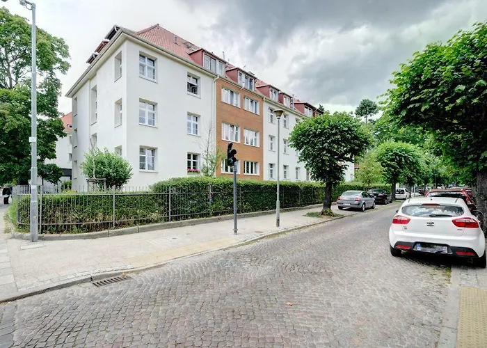 Prime - Forest Dream * Sopot