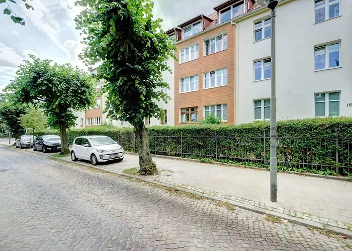 Prime - Forest Dream